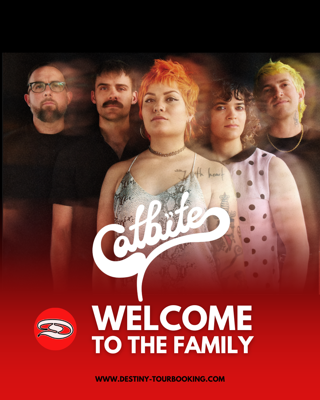 WELCOME TO THE FAMILY: CATBITE
